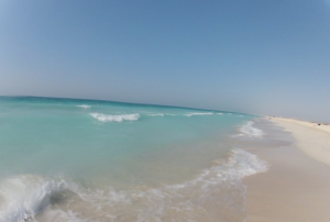saadiyat beach abu dhabi